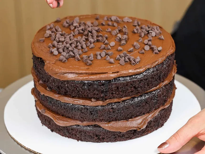 Chocolate Chips Cake (500 Grams)