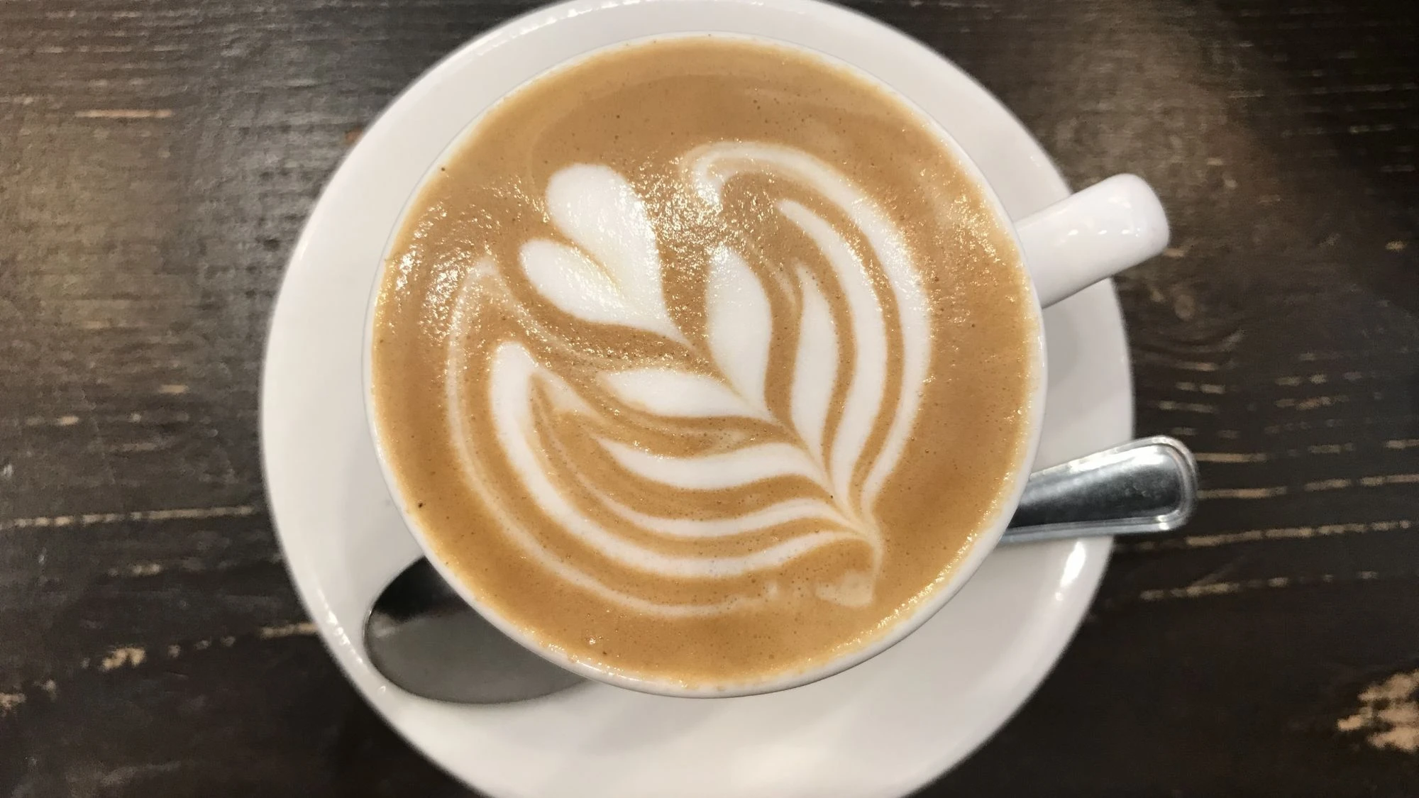 CAPPUCCIΝΟ (Large)
